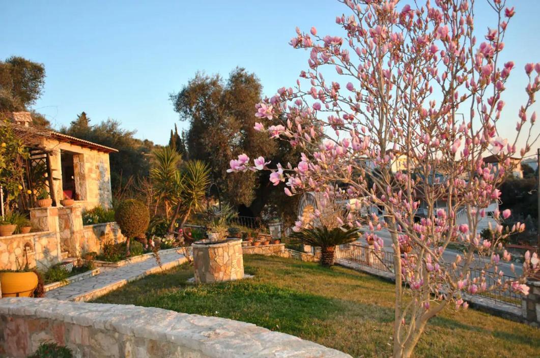 דירות פארגה Amaryllis House מראה חיצוני תמונה