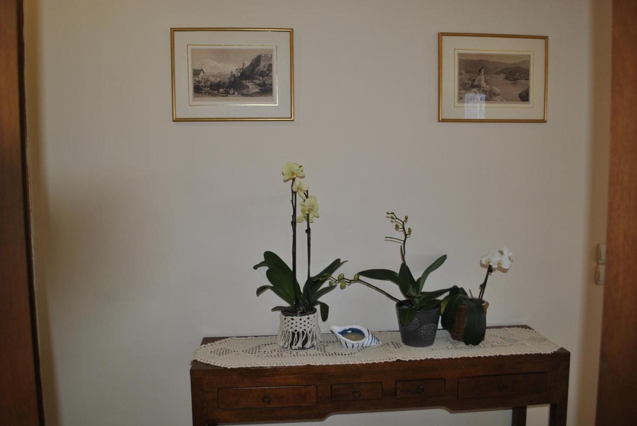 דירות פארגה Amaryllis House מראה חיצוני תמונה