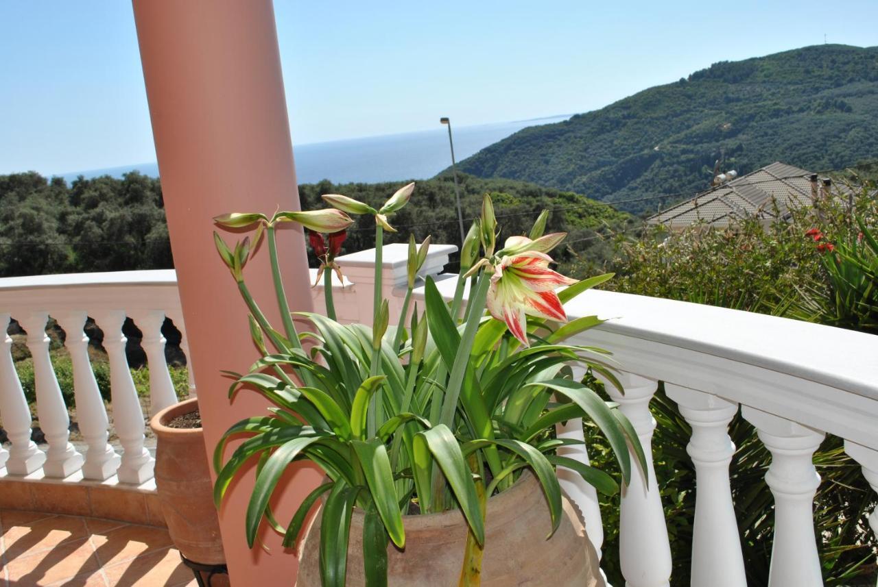 דירות פארגה Amaryllis House מראה חיצוני תמונה