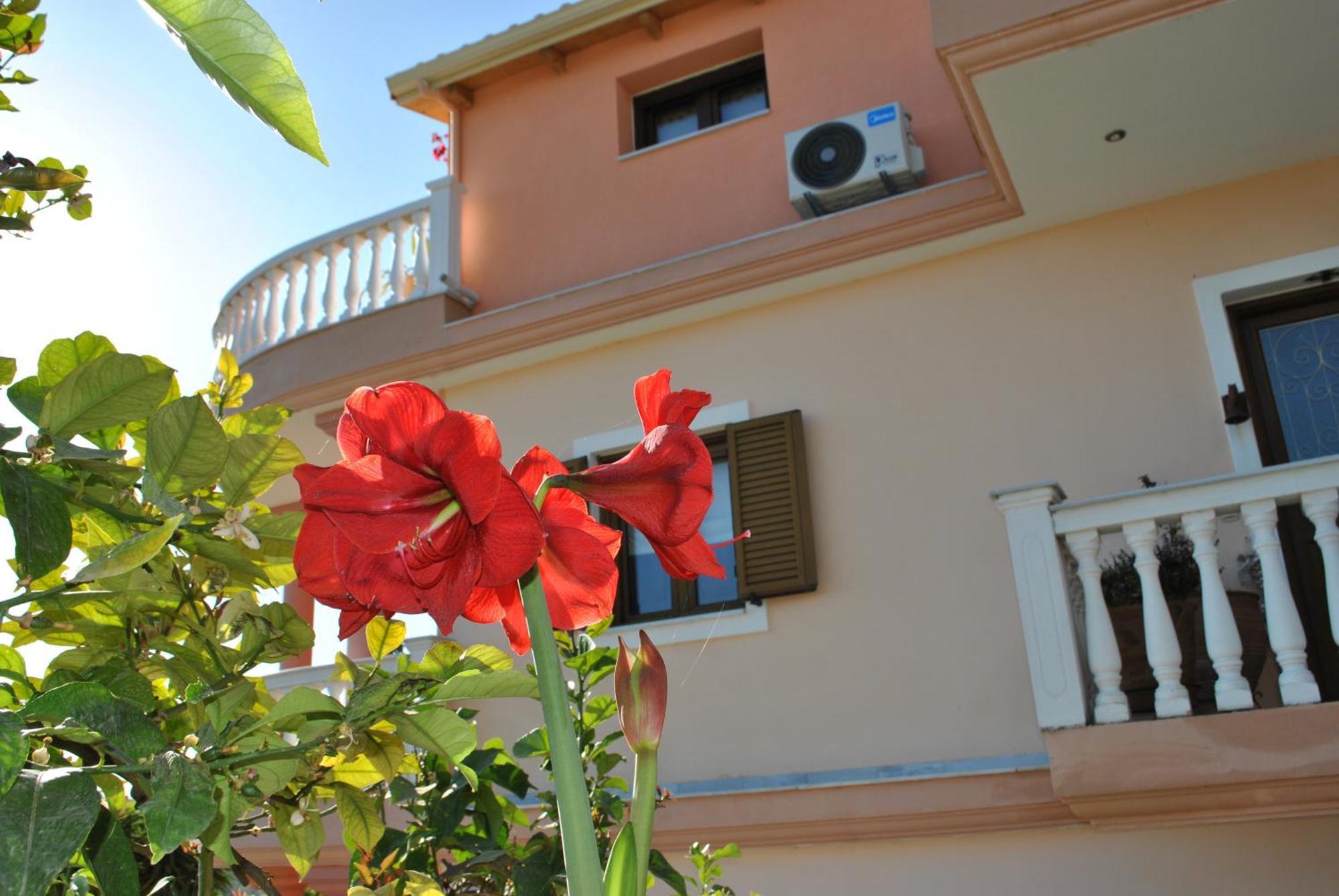 דירות פארגה Amaryllis House מראה חיצוני תמונה