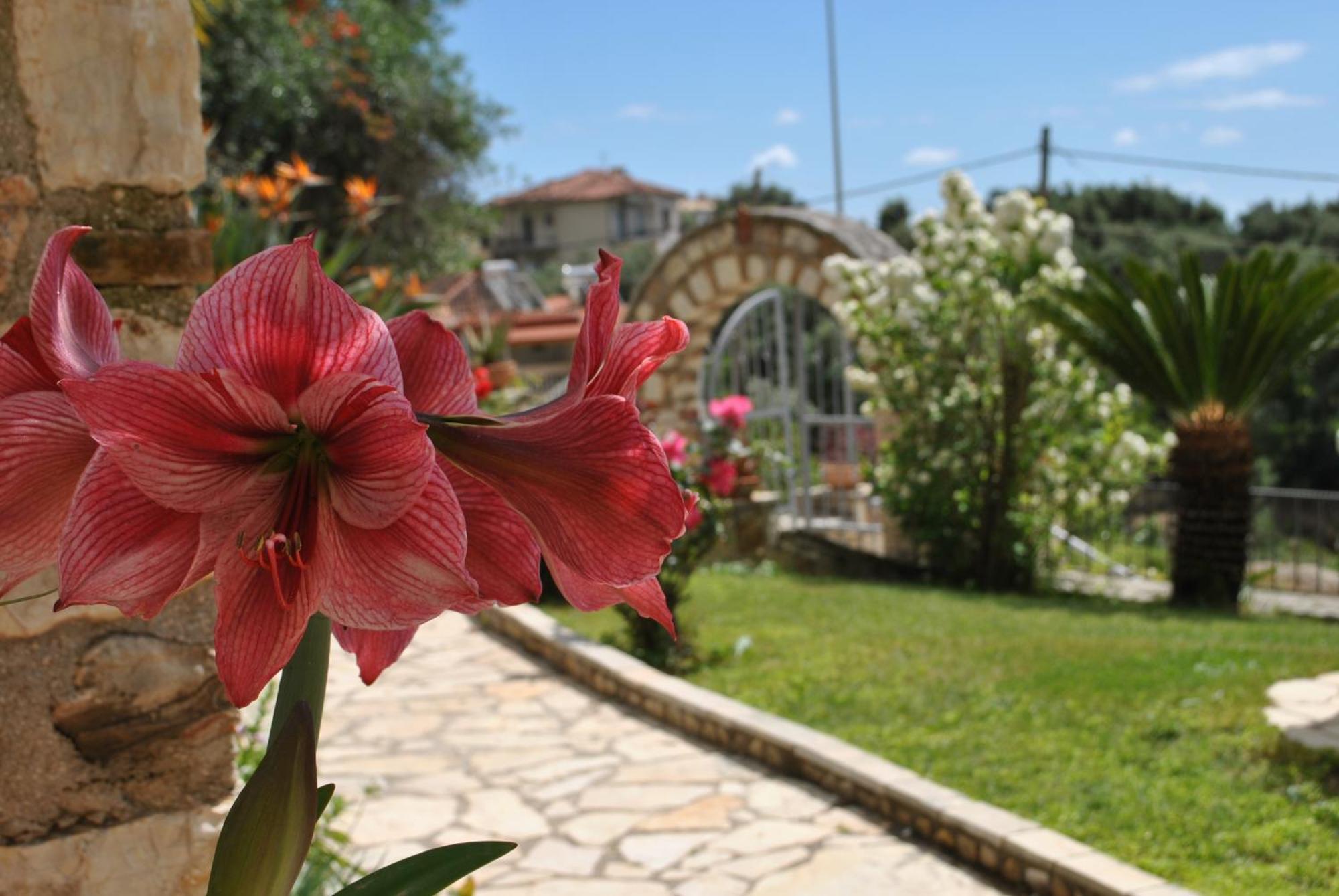 דירות פארגה Amaryllis House מראה חיצוני תמונה